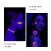 UV Neon Heart Luminous Temporary Tattoo for Bride Wedding and Parties - Waterproof Stickers for Women & Men - Neon Heart Design - Buy Online on GoSupps.com