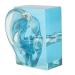 1pcs Right Ear Display Model Acrylic Blue Transparent Waterproof Artificial Human Right Ear Fake Ear Model Displays for Sound Aids