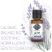 Garden of Life Lavender Essential Oil 0.5 fl oz - 100% Organic & Pure for Diffuser, Aromatherapy, Skincare & Relaxation - Buy Online on GoSupps.com