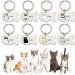 Personalized Engraved Cat Collar - Stainless Steel 10 Names Phone Number | Call My Mom I'm Very Scared  - Buy Online on GoSupps.com