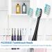 8Pcs Black Toothbrush Replacement Heads for Philips Sonicare Electric Toothbrushes - Buy Online on GoSupps.com