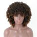 Shop 14-Inch Front Pointed Curly Real Hair Wig | Bandless Baby Hair 150% Density Heat-Resistant Synthetic for Women - International Shipping Available - Buy Online on GoSupps.com