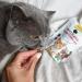 Gimcat Crunchy Snacks for Cats - Turkey & Cranberries Protein-Rich Sugar-Free - 50g Bag (1-Pack) - Buy Online on GoSupps.com