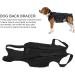 KOSDFOGE Dog Back Brace for Dogs Arthritis Polyester Strong Rigidity Flexible Back Supporting Vest for Walking Dogs Back Prevention(M) - Buy Online on GoSupps.com