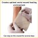 Shop Tulle Dressing with 40% Medical Grade Honey - Flexible Adhesive Bandages for Sensitive Wounds | 4"x4" Box of 10 - Buy Online on GoSupps.com
