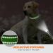 Taglory Extra Large Dog Collar - Soft Padded Neoprene Nylon Adjustable & Reflective for Training Green - Ideal for Large Breeds - Buy Online on GoSupps.com