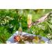 Luscombe Organic Apple Juice (12x27cl) - Natural Ingredients, No Added Sugar, Vegan & Gluten Free - Rich in Vitamin C - Buy Online on GoSupps.com