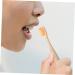 Magiclulu 8-Piece Soft Children's Training Toothbrush Set - Creative Infant Toothbrushes for Healthy Smiles - Buy Online on GoSupps.com