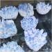 Blue Ghost Phantom Quartz Crystal Cluster Specimen Decoration Gift FZUGEDRLI - Buy Online on GoSupps.com