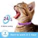 Calming Collar for Cats - Reduces Anxiety & Hyperactivity - 2 Pack Purple - Adjustable Length - Suitable for Small, Medium & Large Cats - Buy Online on GoSupps.com