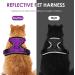 Breakproof Cat Leash Set & Adjustable Soft Vest for Kittens - Reflective Stripes & Purple Dishes (Small) - Buy Online on GoSupps.com