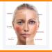 Sunscreen Spf60 Sunscreen Lotion Vitamin C Suncream Sun Block - Outdoor Refreshing UV/UVB Protection Sunscreen Lotion for Face/Body with Collagen & Nicotinamide Face Moisturiser for All Skin Types - Buy Online on GoSupps.com