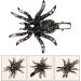 Lurrose Halloween Hair Clip for Women Gothic Sparkling Rhinestone Spider Hair Barrettes Halloween Party Masquerade Cosplay Accessory - Buy Online on GoSupps.com