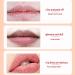 Aloe Vera Lip Balm Aloe Vera Color Changing Lipstick Magic Temperature Colour Changing Lip Gloss Lipstick Long Lasting Lip Balm Lip Stick for Lip Makeup Lip Dryness & Cracking Care - Buy Online on GoSupps.com