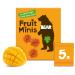 BEAR Fruit Minis 5 Packs per Box - Healthy Fruit Snacks Mango Flavour 100 Grams