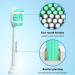 Replacement Toothbrush Heads for Philips Sonicare - Medium Soft Bristles Compatible Electric Toothbrush Refill Pack of 10 - Buy Online on GoSupps.com