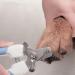PSGS The Stainless Steel Pet Nail Clipper Specially Designed for Pet Nails Labor-Saving and Convenient Simple Comfortable to Operate (Color : Blue Large) - Buy Online on GoSupps.com