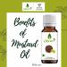  AOZA AOZA Oilcure Cold-Pressed Mustard Oil 100 ml - Buy Online on GoSupps.com