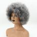 Smoky Gray Short Afro Wig for Black Women - Unisex Large Bouncy Kinky Curly Synthetic Wig - Buy Online on GoSupps.com
