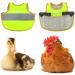 Reflective Chicken Hen Saddle Apron | Adjustable Strap | Protects Poultry Ducks Geese | Green - Buy Online on GoSupps.com