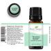 Plant Therapy Tension Relief Essential Oil Blend 10 mL - 100% Pure & Therapeutic Grade - 0.34 Fl Oz (Pack of 1) - Buy Online on GoSupps.com