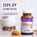 Buy New Chapter Fermented Vitamin D3 2000 IU - 60 Vegetarian Tablets for Immune Support - Buy Online on GoSupps.com