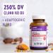 New Chapter Vitamin D3 2000 IU Organic with Reishi Mushroom - 90 Count - Buy Online on GoSupps.com