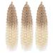 Deep Twist Crochet Hair - Waterwell Twist Bundle 22 Inch Ombre Kinky Curl Extensions 3 Packs 27/613# - Synthetic Curly Braided Hairstyle - Buy Online on GoSupps.com