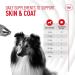 Royal Canin Dog Supplement for Skin & Coat Soft Chews 240g - Buy Online on GoSupps.com