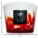 Feathers Masaai Max 10 - Elegant Candle Warmer & Fall Candles with Amber & Rum Scent | Exquisite Bedroom Decor - Buy Online on GoSupps.com