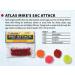 Atlas Mike's Sac Attack Orange Fishing Bait Eggs - Premium Quality for Successful Fishing - Buy Online on GoSupps.com