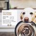 Reavet USA Elm Bark for Dogs & Cats - 120g | Natural Mucus Support & Digestive Health | Premium Quality Slippery Elm - Buy Online on GoSupps.com
