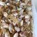 Raw Crystals Bulk Natural Stone Crystal Rough Citrine Crystal Point 20pc - Buy Online on GoSupps.com