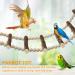 Phiezc Bird Toys - Wooden Ladders & Cage Accessories for Budgies Nymphicus & Cockatoos | 10-Part 64 cm Ladder - Buy Online on GoSupps.com
