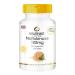 Nattokinase 100mg - 2000 FU - Highly dosed - Vegan - 250 Tablets | Warnke Vitalstoffe