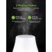 InnoGear Essential Oil Diffuser - Upgraded Aromatherapy Humidifier with 7 Colors, Auto Off & Cool Mist for Home & Office - Buy Online on GoSupps.com