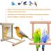 Bird Mirror Swing Toy for Small Parrots - Hanging Play Mirror for Greys, Parakeets, Cockatoos, Cockatiels, Conures, Lovebirds, Canaries, Macaws and African Parrots - Buy Online on GoSupps.com