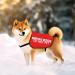 Nervous Rescue Dog Jacket Vest Nervous Rescue Do Not Pet Dog Vest Dog Walking Slogan Warning Vest (Nervous Pet M) - Buy Online on GoSupps.com