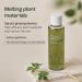 Plentyplant Melting Sprout Ginseng Face Toner Beauty of Ginseng Essence Water Hydrating Face Toner for Oily and Aging Skin Korean Moisturizing Skin Care for Men and Women 150ml 5 fl.oz - Buy Online on GoSupps.com