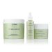 M. Asam Vino Gold 24h Face Cream (50 ml) - Anti-Aging Day & Night Cream Vegan Moisturizer for Lines & Wrinkles Heavy Protection Against Premature Aging - 1 Pack - Buy Online on GoSupps.com