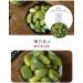 Shandong LABA Garlic Pickled Vegetable Fresh Sugar Garlic Shandong Specialty Pickled Pickles Sweet and Sour Garlic Emerald Green Garlic Garlic Pickle (50g/Bag 1pc) - Buy Online on GoSupps.com