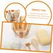 DOITOOL 1 Set Bath Accessories Bath Tool Kit Skin Care Kits Skin Care Tools Clipper Guards Hairbrushes for Woman Body Exfoliating Tool Scrubber Body Cleaning Kit Foot Wood Brush - Buy Online on GoSupps.com
