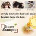 Ginaday Instant Ginger Hair Regrowth Shampoo 17.6oz - Hair Growth & Anti-Hair Loss Care - 500ml - Buy Online on GoSupps.com