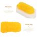 2pcs Fat Model Models Manikin Sugar Bowl 1 Pound Body Fat Replica Human Body Module - Buy Online on GoSupps.com