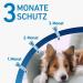 Frontline Spot On H 20 Solution for Dogs - 3 Pack (1.34 ml Each) | Effective Flea & Tick Treatment | International Shipping Available - Buy Online on GoSupps.com