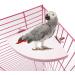 2 Pieces Wooden Fan Shape Bird Cage Perches - Platform Toy for Hamsters & Parrots - International Shipping Available - Buy Online on GoSupps.com