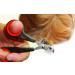 Lixit 4 Piece Grooming Kit for Rabbits, Guinea Pigs & Small Animals - Buy Online on GoSupps.com