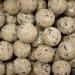 Premium fat balls with insects 200 x approx. 90 grams without net