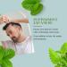 Peppermint Essential Oil - 100% Pure | 8 fl oz Aluminum Bottle | GreenHealth - Buy Online on GoSupps.com