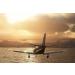 Microsoft Flight Simulator 2020 - Standard Edition (Windows 10) - Buy Online on GoSupps.com